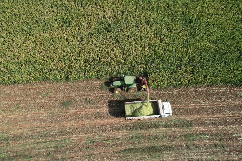 Capa notícia Reforma Tribut&aacute;ria exigir&aacute; CNPJ para produtores rurais a partir de 2026